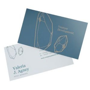 Business Cards 18PT Writable (C1S)